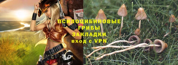 мет Арсеньев