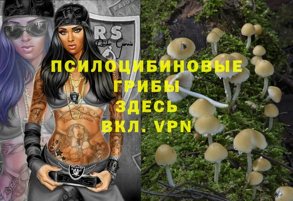 мет Арсеньев