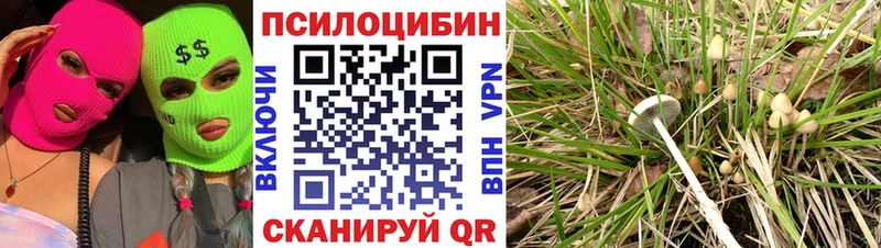 Галлюциногенные грибы Psilocybine cubensis Оленегорск